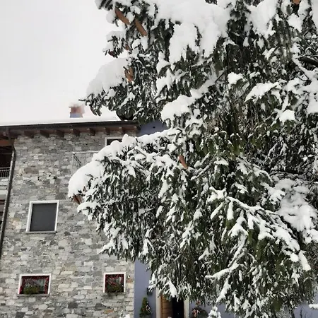 Zia Vivina * سوريكو