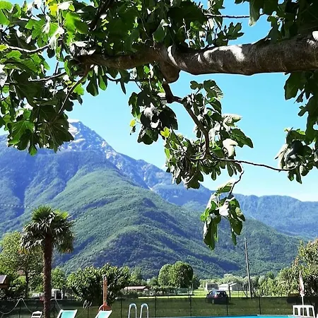 Zia Vivina سوريكو