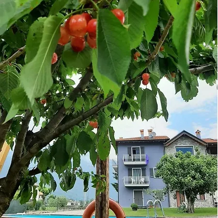 Zia Vivina Bed and breakfast