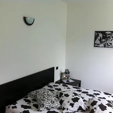 Zia Vivina * سوريكو