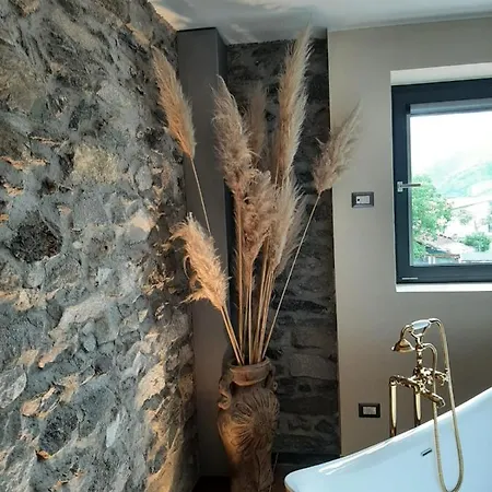 Zia Vivina * سوريكو