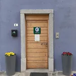 Zia Vivina *