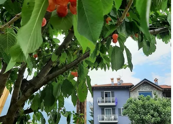 Zia Vivina Bed & Breakfast